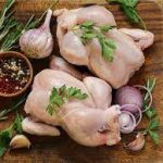 Baby Chickens 500 – 699 Grams